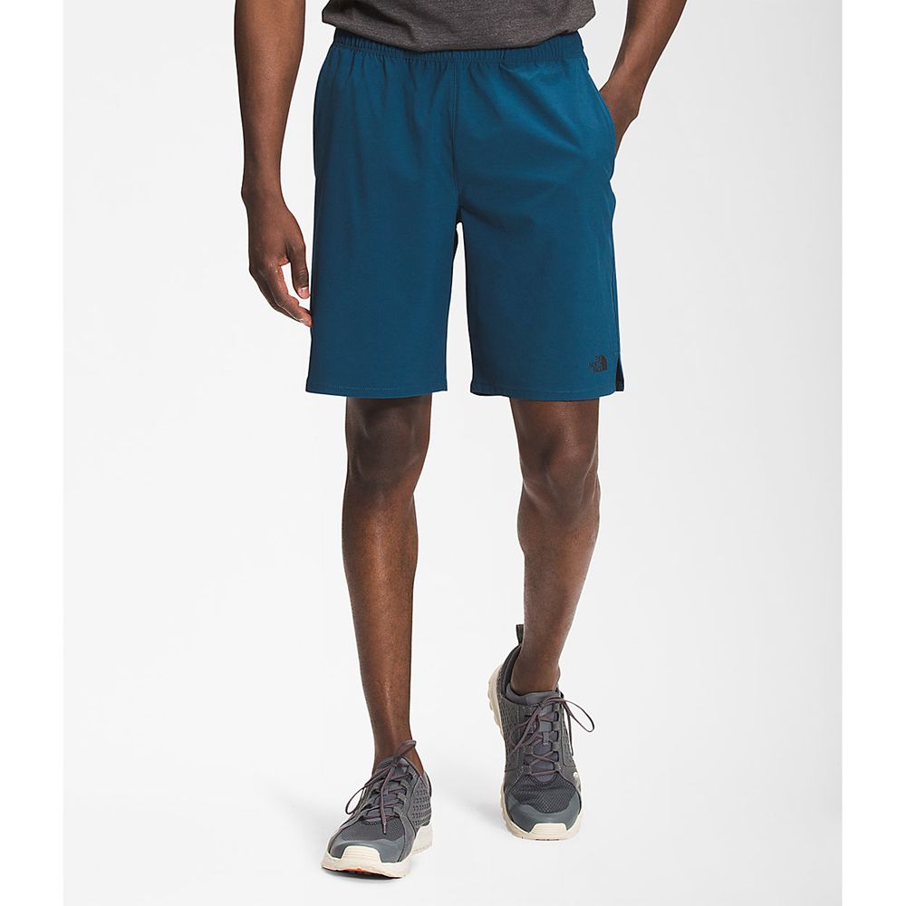 The North Face Shorts Mens Australia - The North Face Wander 9" Blue (EUV-142395)